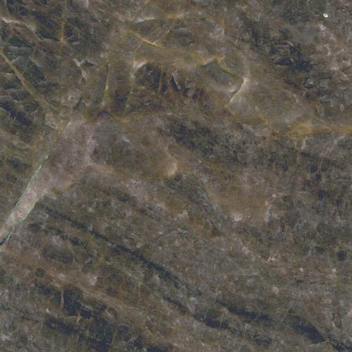 Natural Quartzite - Natural Stone Slab by Dal Tile